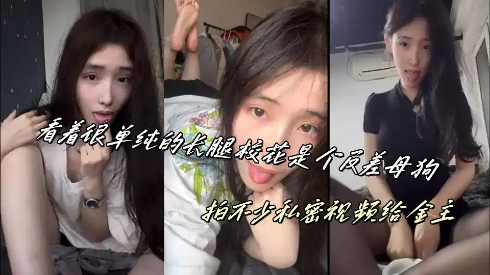 免费观看片 – 国产剧免费电视剧
